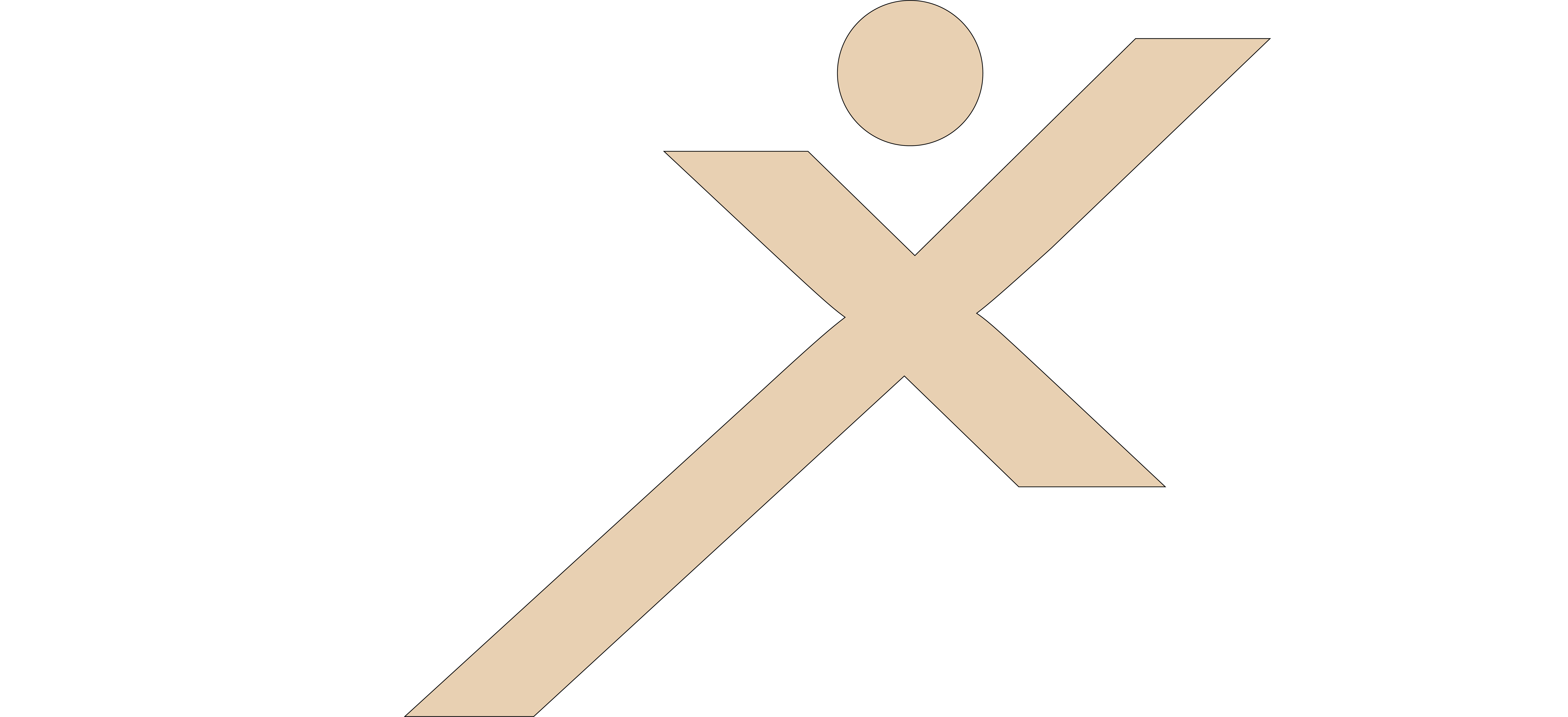 Nex Health Logo
